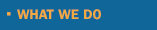 What We Do
