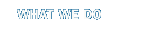 What We Do
